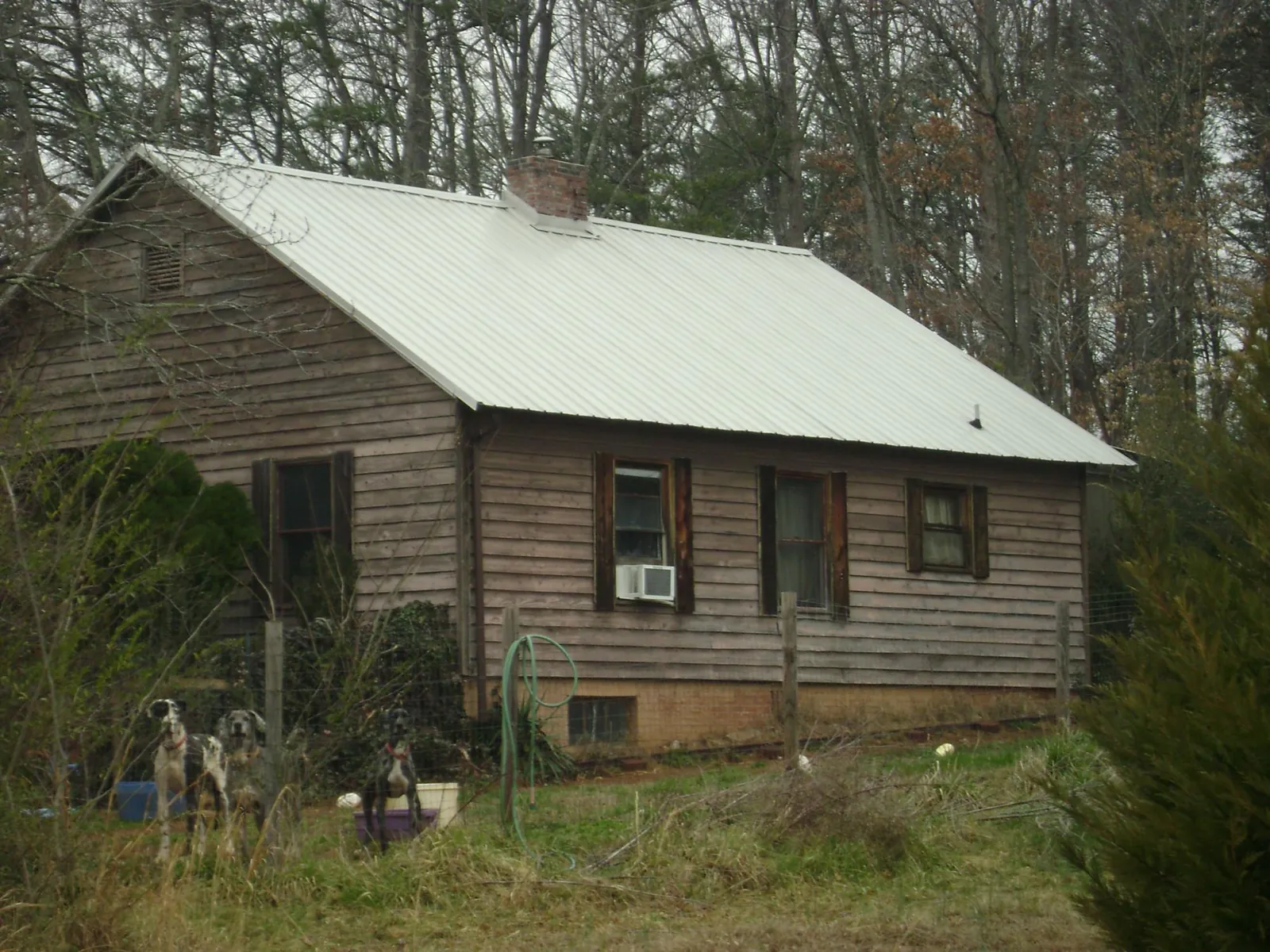 White metal roof on an old wood sided farmhouse, from a Metal Roof Installation job in Thompson Falls